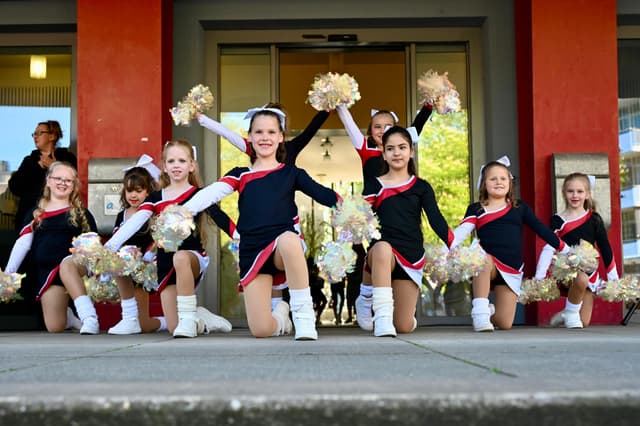 Little Stars Rookies